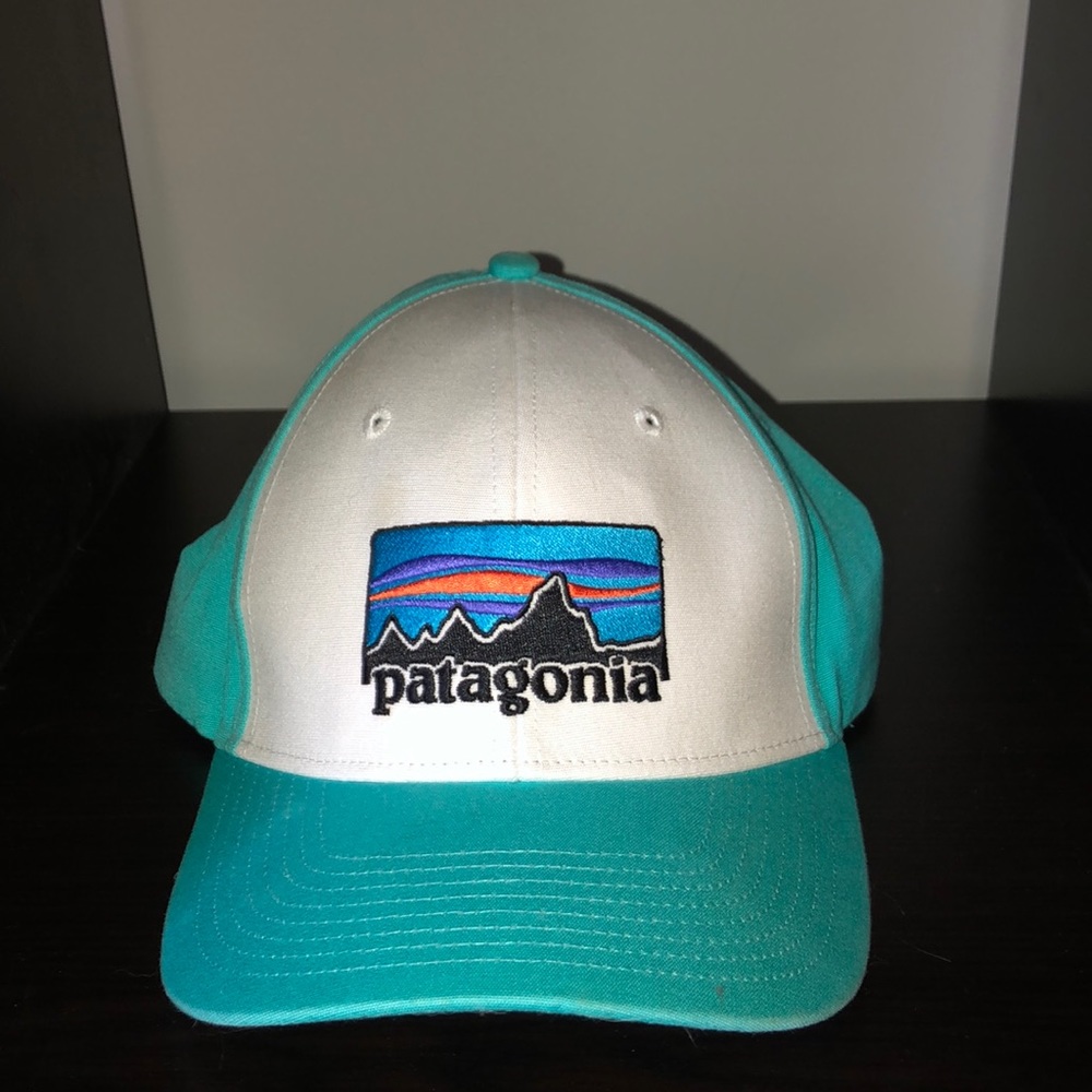 Patagonia Baseball Hat
